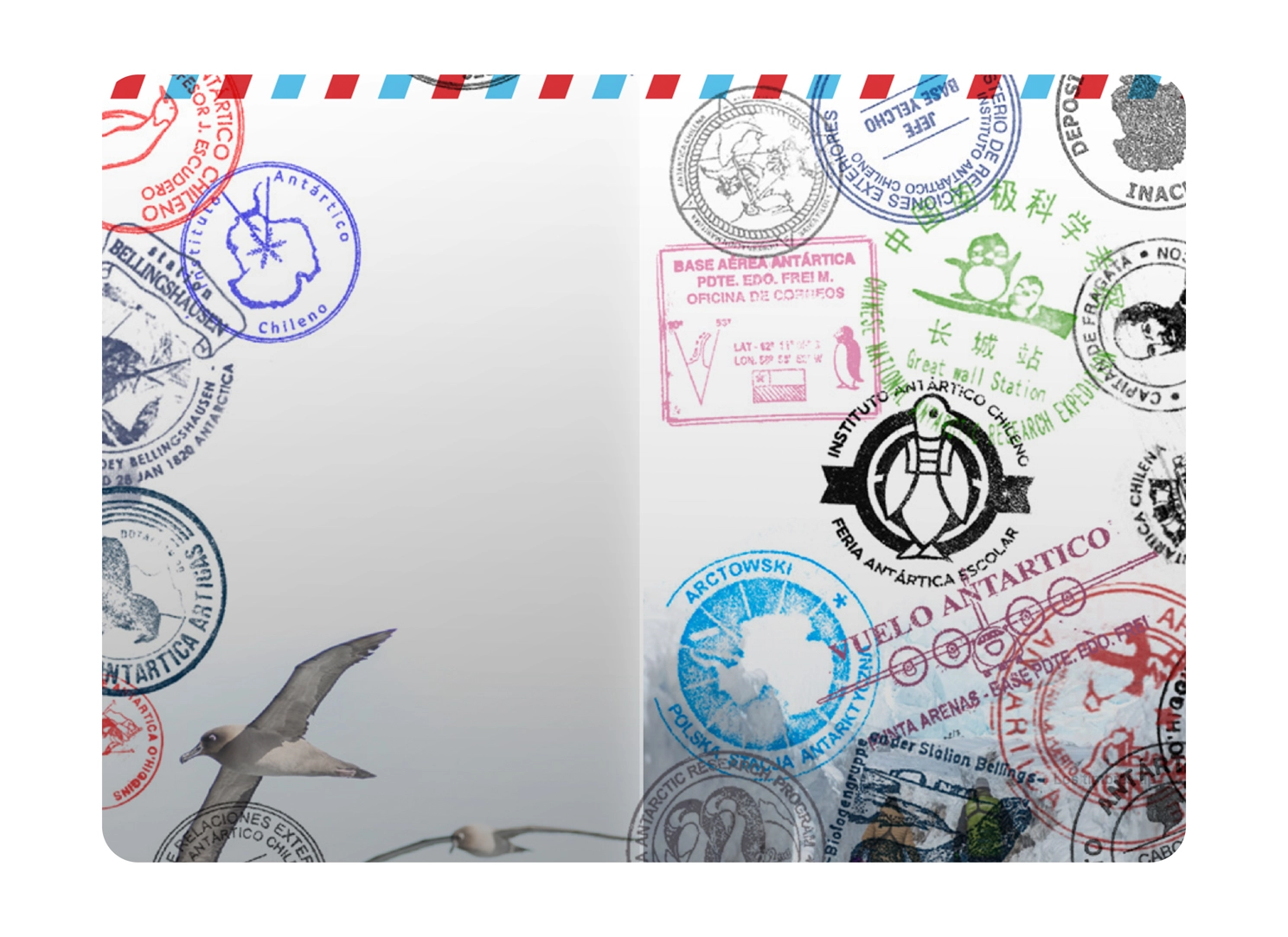 Pasaporte Antártico