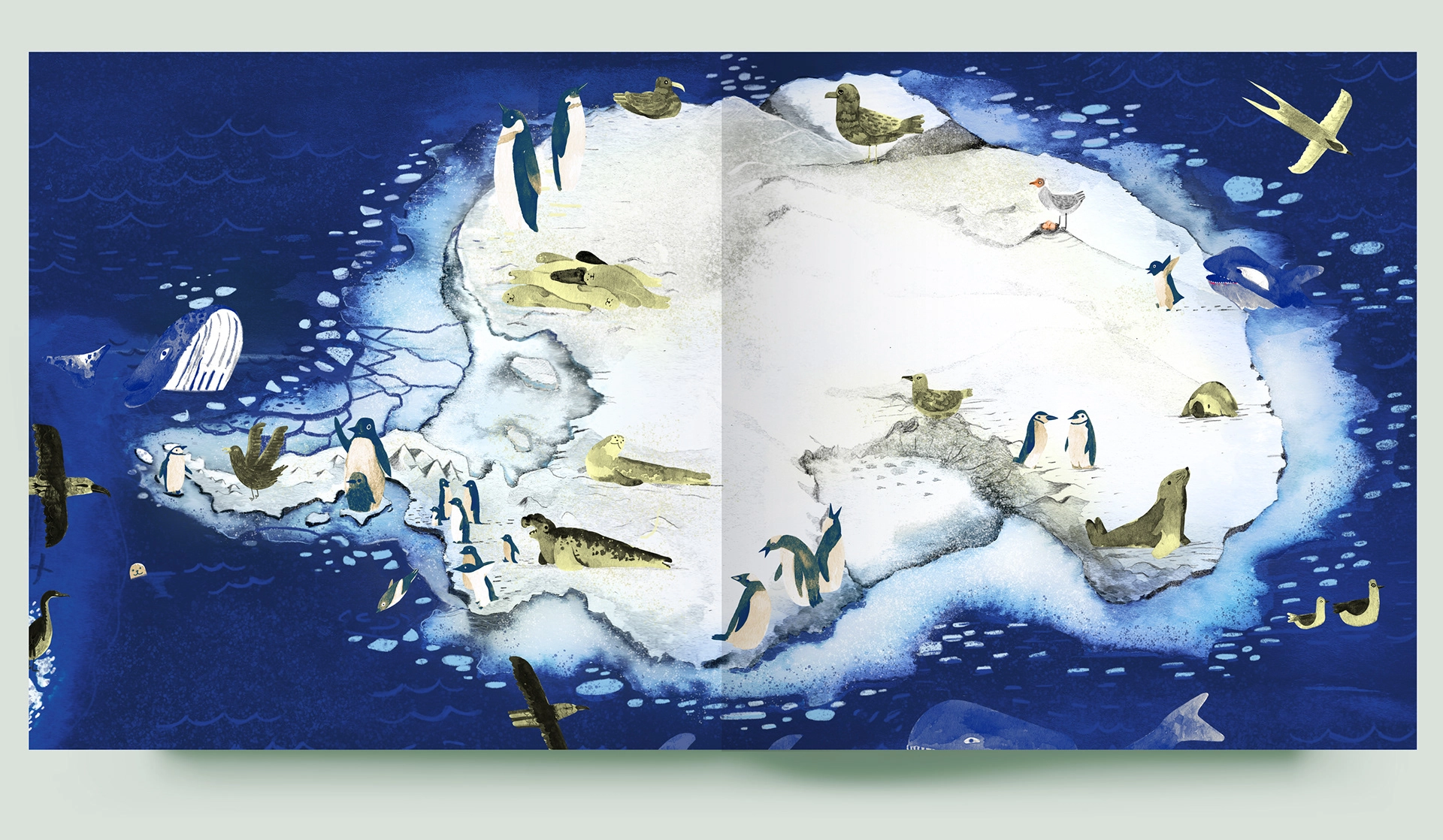 ¿Sabías que...? sobre la Antártica y la Región de Magallanes (1ª Edición)