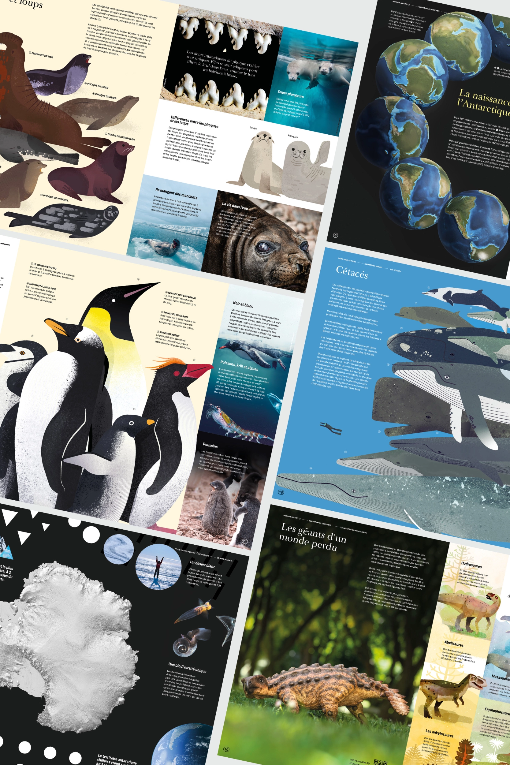 Pequeña Enciclopedia Antártica