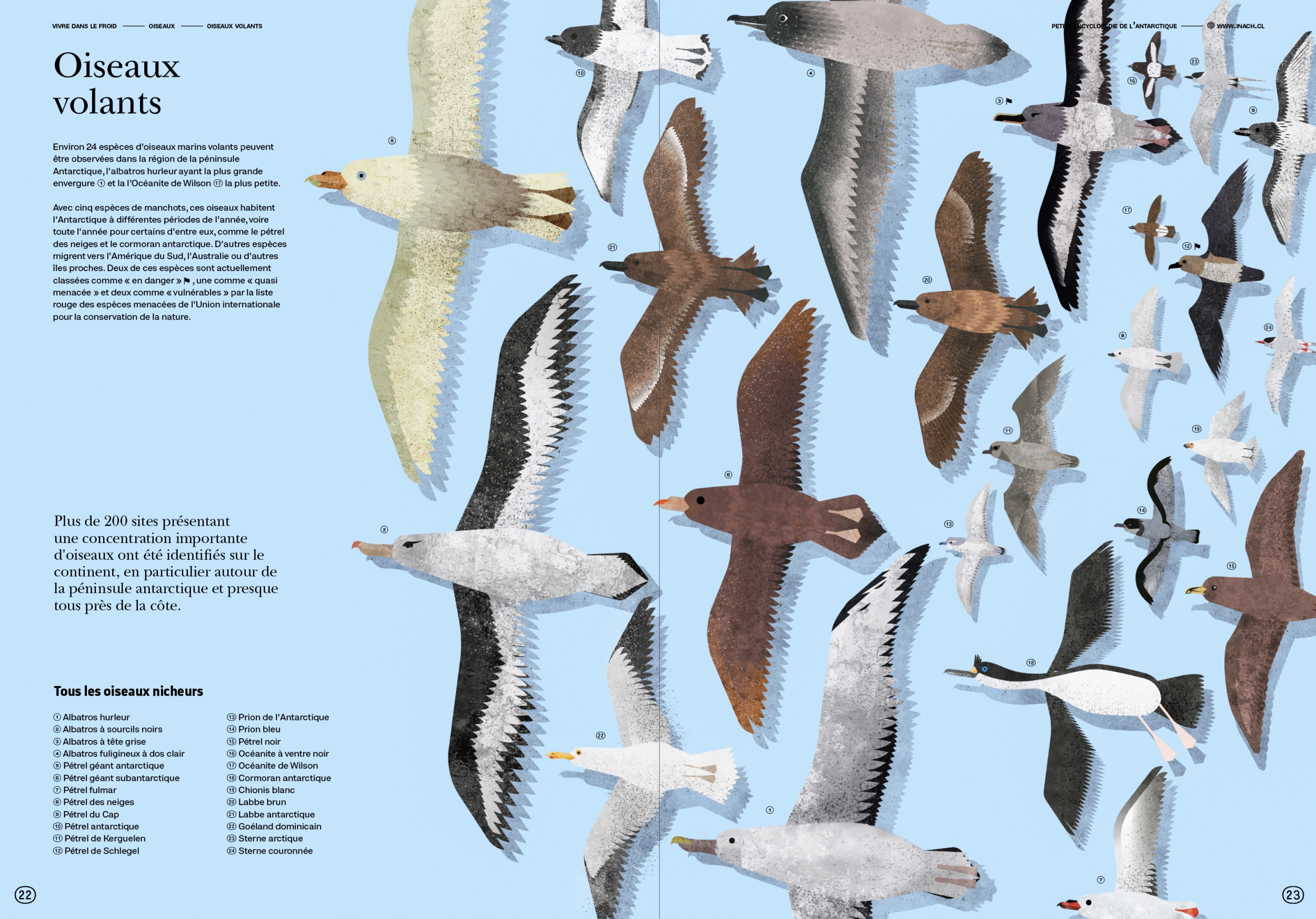 Pequeña Enciclopedia Antártica